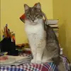 Отзыв от Елена Тимофеева